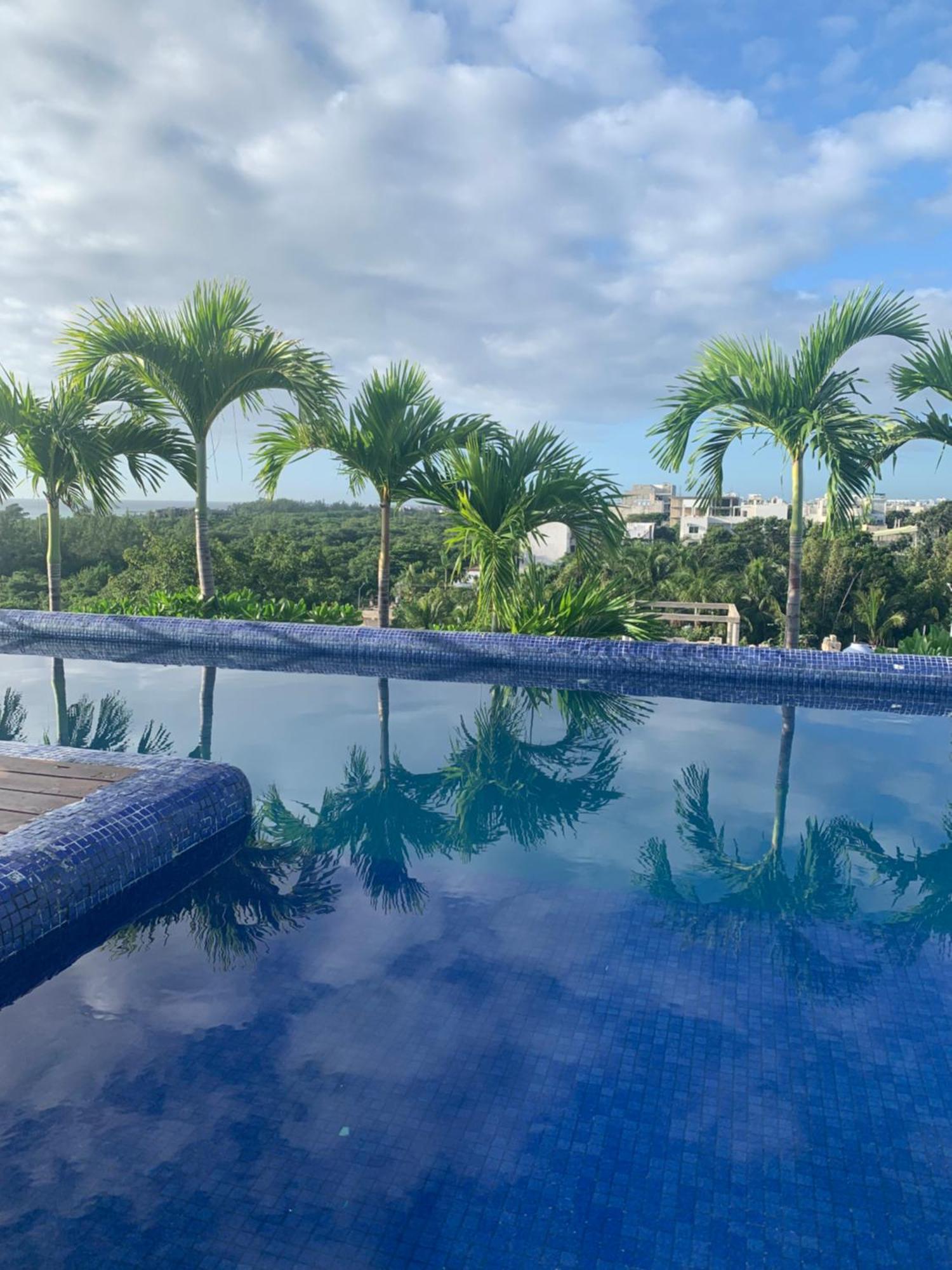 Family Apartments Near Beach Polo88 Playa del Carmen Eksteriør billede
