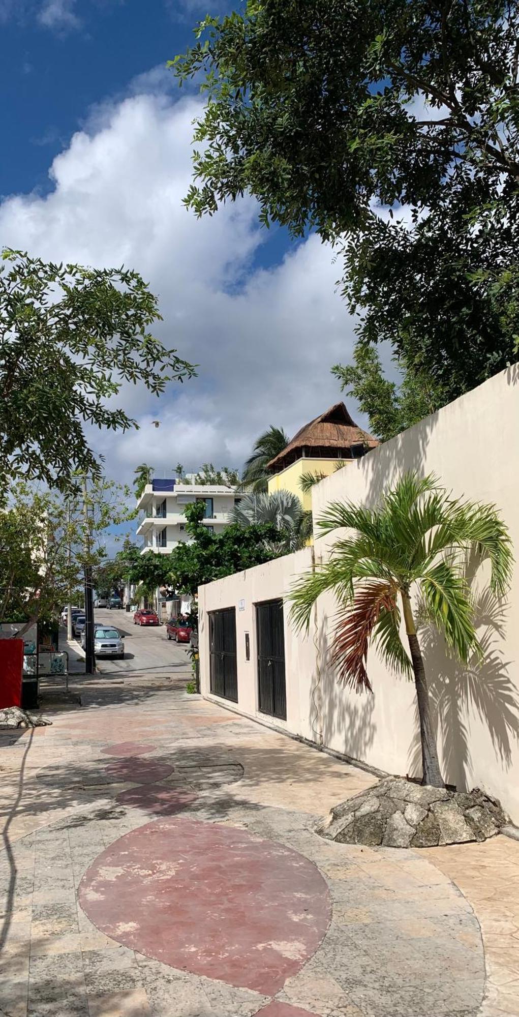 Family Apartments Near Beach Polo88 Playa del Carmen Eksteriør billede